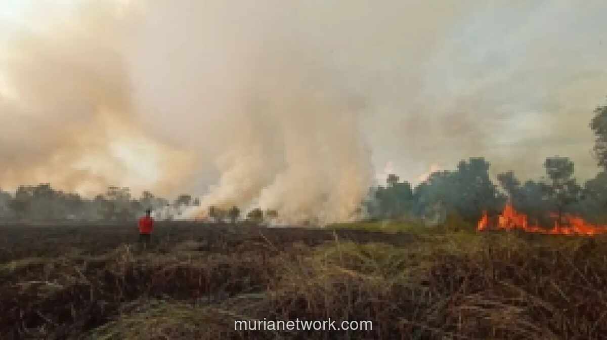 Damkar Tanjung Uban Peringatkan Bahaya Karhutla di Musim Angin Kencang