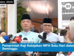 Pemerintah Kaji WFH, Arahan Langsung dari Presiden Prabowo