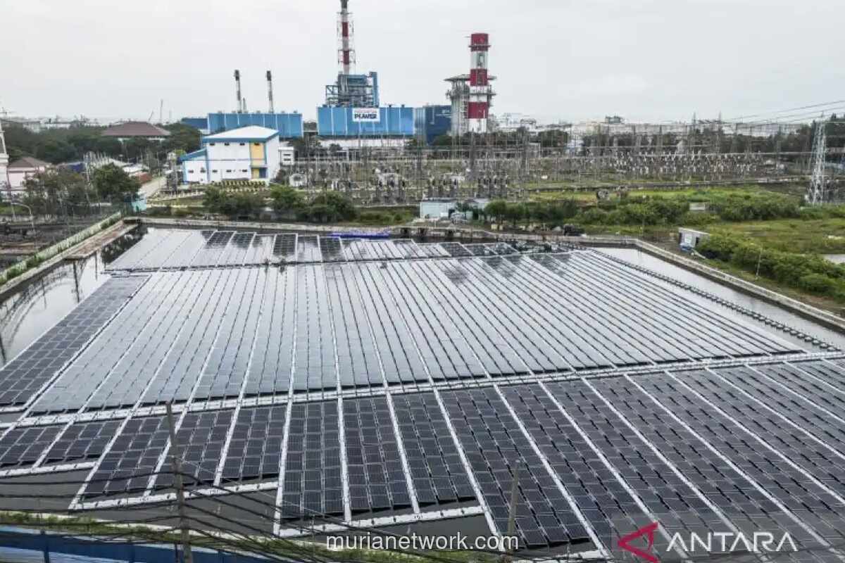 Pemerintah Targetkan Pembangunan PLTS Raksasa 100 Gigawatt untuk Kurangi Ketergantungan Diesel