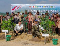 Pemerintah Mulai Reforestasi 2.557 Hektare di Taman Nasional Tesso Nilo