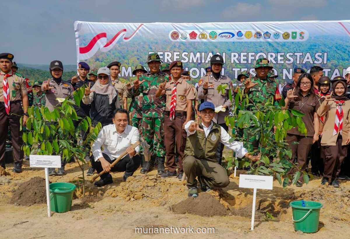 Pemerintah Mulai Reforestasi 2.557 Hektare di Taman Nasional Tesso Nilo