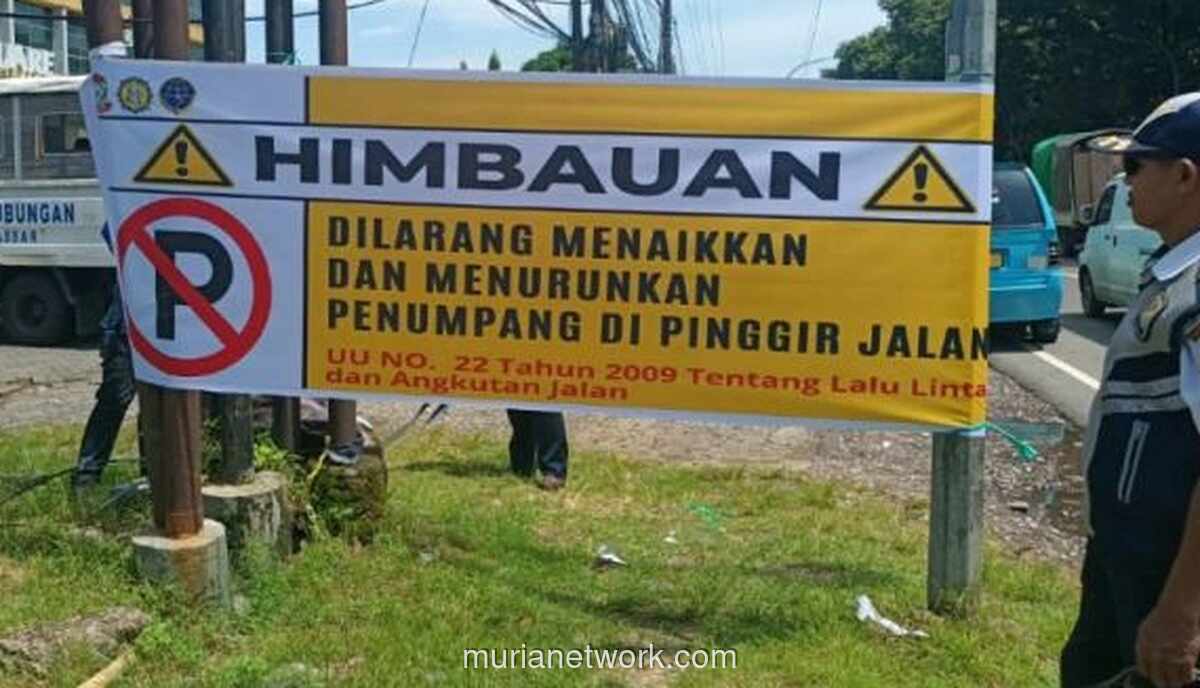 Dishub Makassar Hadapi Intimidasi dalam Penertiban Terminal Bayangan