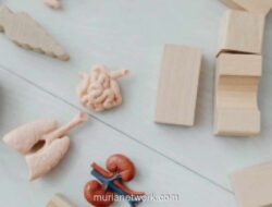 Gangguan Ginjal Kronis Kini Serang Kaum Muda, Gaya Hidup Jadi Pemicu