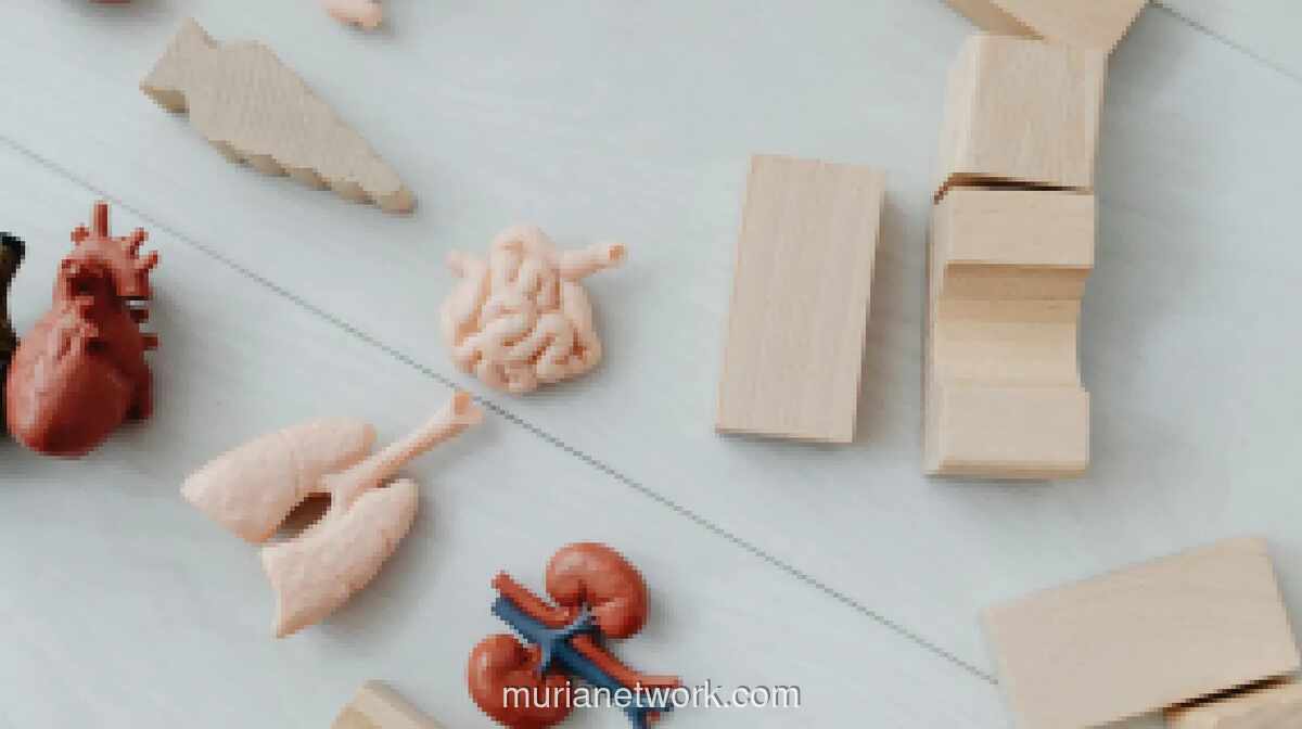 Gangguan Ginjal Kronis Kini Serang Kaum Muda, Gaya Hidup Jadi Pemicu