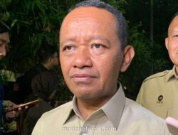 ESDM Siap Naikkan Harga Patokan Nikel Usai Perintah Presiden Prabowo