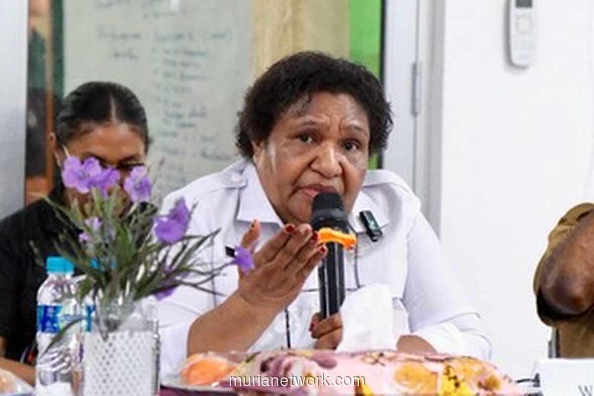 Wamen Dalam Negeri Dorong Transformasi Layanan Kesehatan di RSUD Yowari Sentani