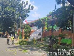 Pohon Tua Tumbang di Depan SMKN 30 Jakarta, Tiga Pengendara Terluka