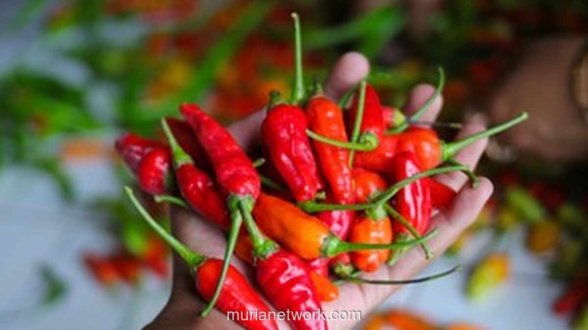 Satgas Saber Pangan Temukan Cabai Rawit dan Minyak Goreng Masih di Atas HET