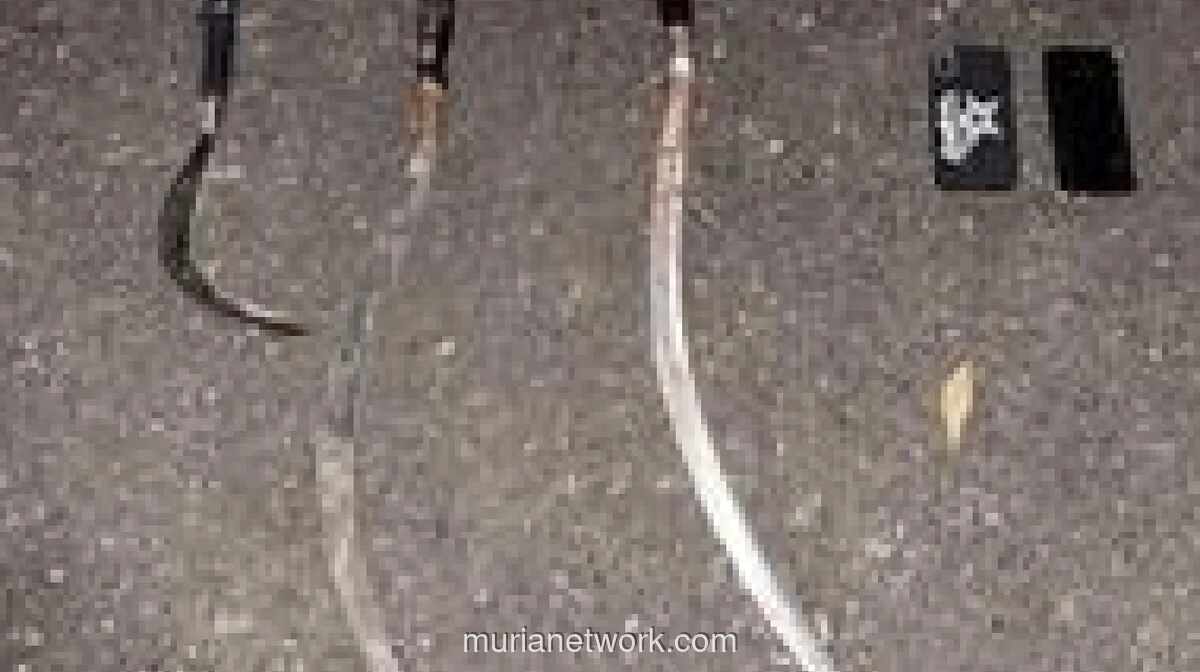 Polisi Gagalkan Tawuran di Muara Baru, Amankan Tiga Celurit