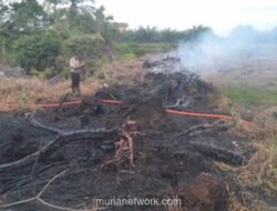 Polisi Tangkap Pria di Rokan Hilir Diduga Bakar Lahan untuk Tanam Sawit
