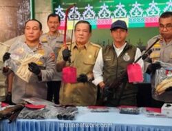 Polisi Bongkar Jaringan Perburuan Liar Gajah Sumatera di Pelalawan, 15 Tersangka Diamankan