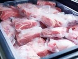 Polisi Gagalkan Peredaran 9 Ton Daging Beku Kadaluarsa Jelang Lebaran 2026