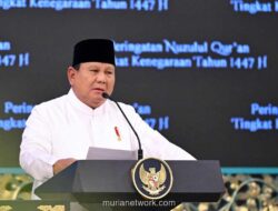 Pemerintah Rencanakan Pagar Raksasa untuk Atasi Konflik Gajah-Manusia di Way Kambas