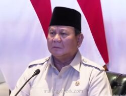 Prabowo: Ketahanan Pangan Indonesia Aman di Tengah Ketegangan Global