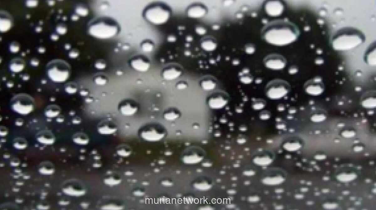 BMKG Waspadakan Potensi Hujan Lebat di Sejumlah Daerah Hari Ini