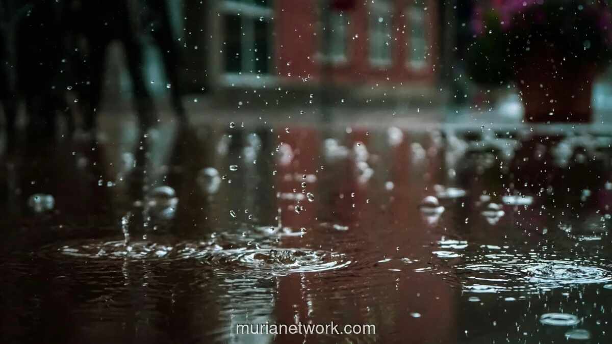 BMKG Prakirakan Hujan Guyur Sulawesi Selatan Sepanjang Hari Minggu