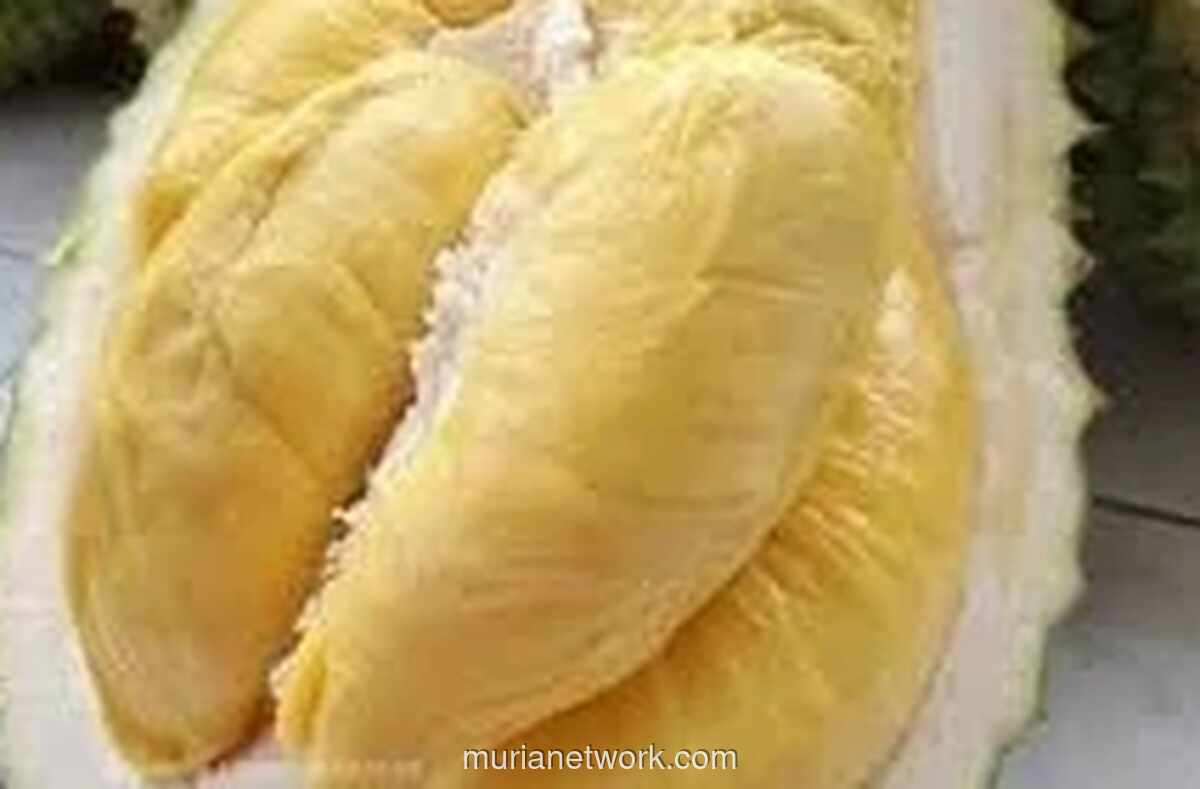 Durian Asia Tenggara: Dari Musang King hingga Petruk, Ragam Raja Buah yang Mendunia
