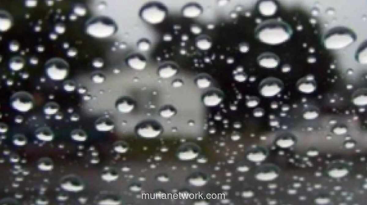 BMKG: Hujan Masih Guyur Sejumlah Kota, Waspada Potensi Petir di Arus Balik