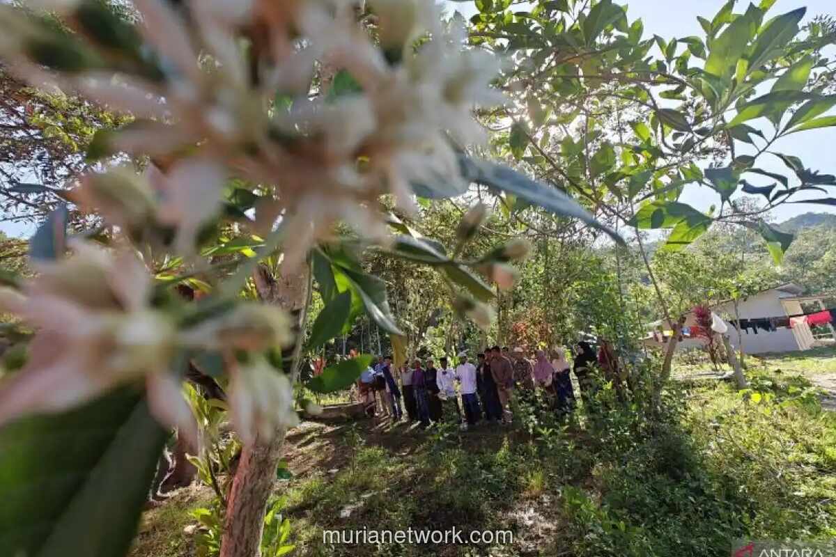 Warga Gayo Lues Berziarah di Makam Massal, Kehilangan Jejak Kubur Keluarga Akibat Banjir Bandang