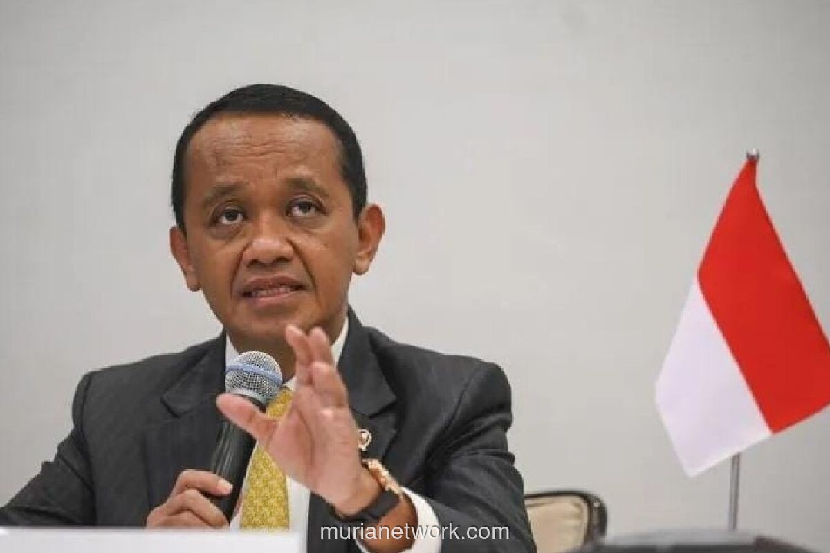 Menteri ESDM Pastikan Pasokan Batu Bara untuk PLN Aman Meski RKAB Ditata