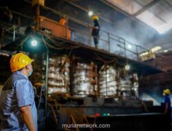 Saham OILS Melonjak 12% di Tengah Konflik Timur Tengah Meski Tak Berkaitan dengan Minyak Bumi