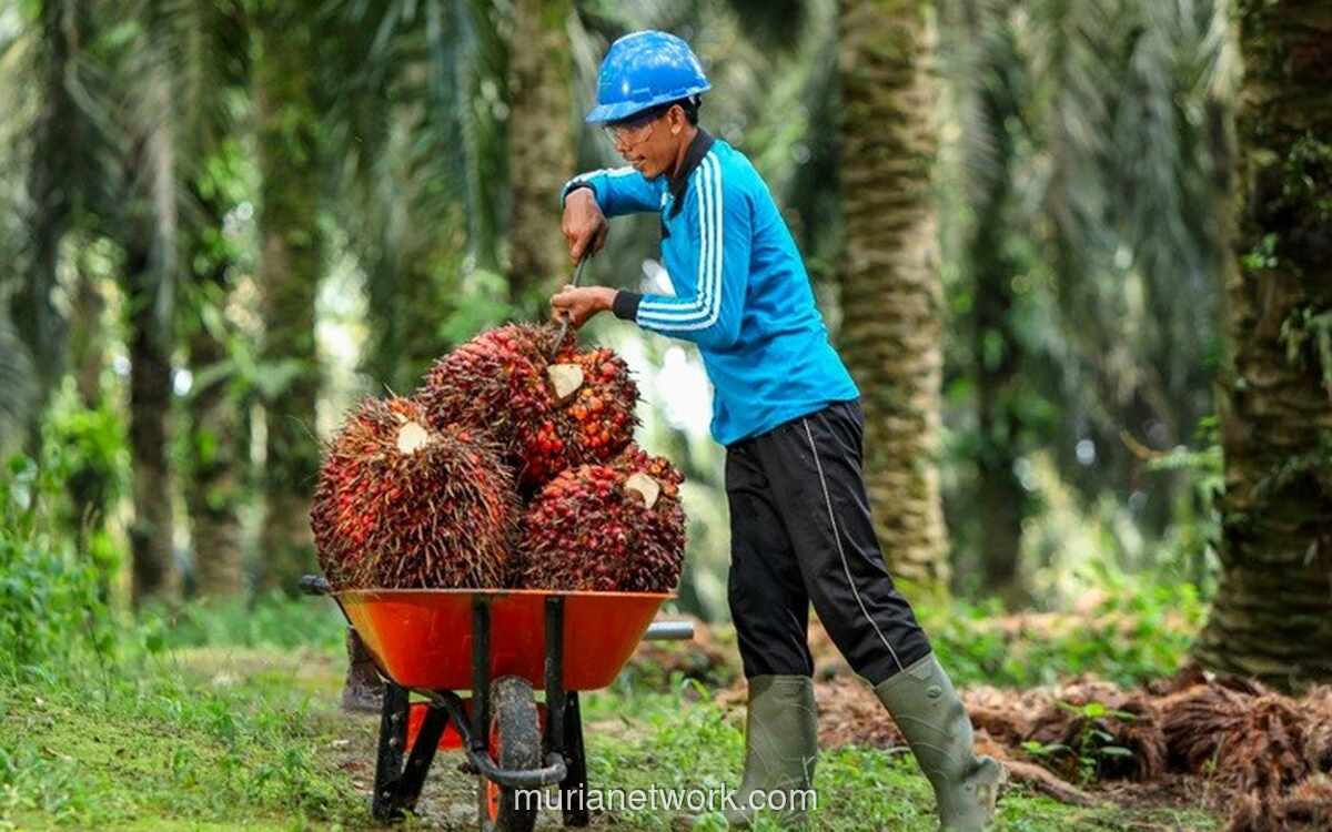 Salim Ivomas (SIMP) Catat Laba Bersih Rp2,07 Triliun, Tumbuh 33% di 2025