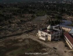 Satgas PRR: 406 dari 508 Titik Lumpur Pascabencana di Sumatera Telah Bersih