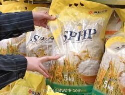 Pemerintah Salurkan 828.000 Ton Beras Subsidi Mulai Maret hingga 2026
