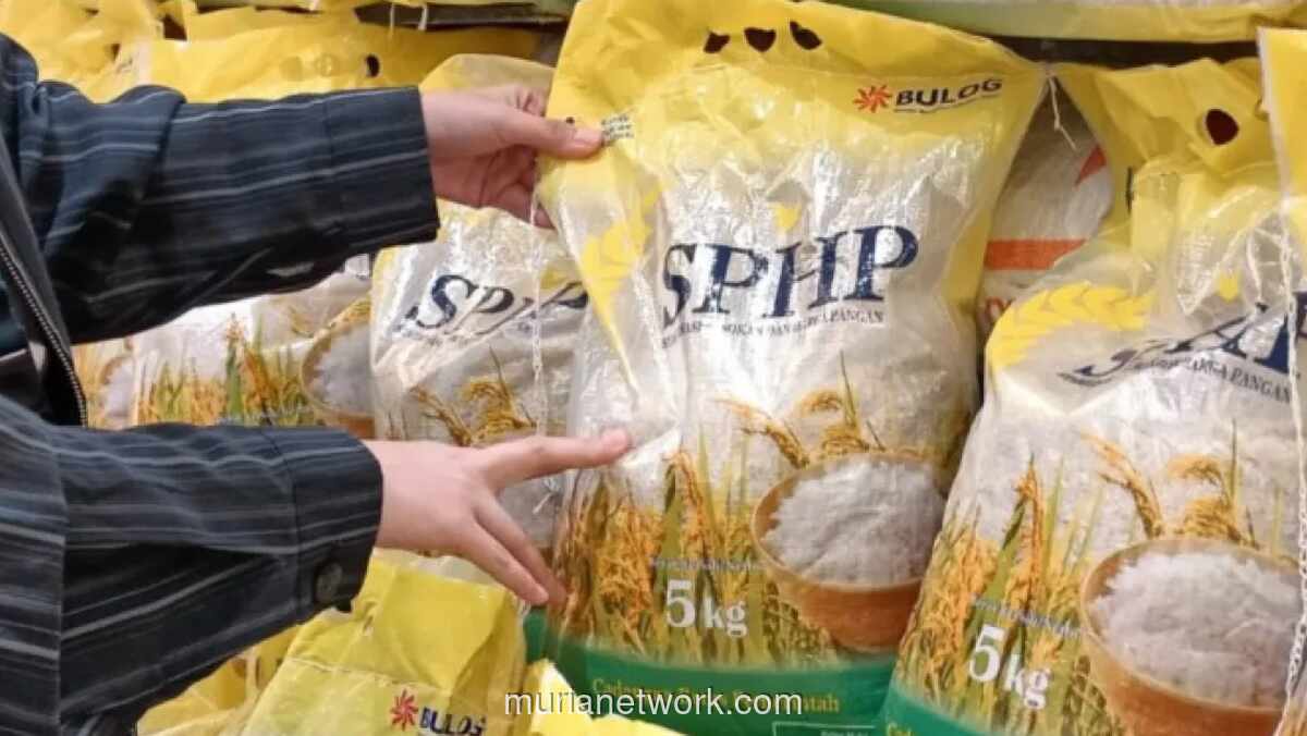 Pemerintah Salurkan 828.000 Ton Beras Subsidi Mulai Maret hingga 2026