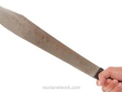 Silaturahmi Lebaran di Pangkep Berakhir Tragis, Parang Dihunus ke Kerabat Sendiri