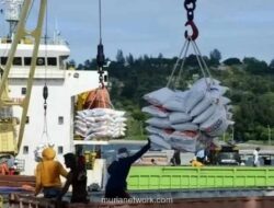 Stok Beras Bulog Tembus Rekor 4,3 Juta Ton, Inflasi Berhasil Dikendalikan