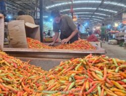 Mentan Pastikan Stok Pangan Aman dan Harga Stabil Jelang Lebaran 2026