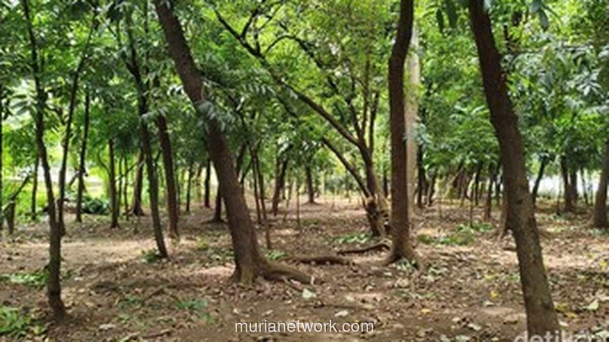 Taman Kota Cawang Ditutup dan Celah Pagar Ditonjok Beton Usai Diduga Jadi Lokasi Aktivitas Asusila