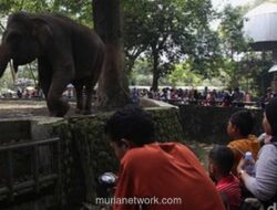 Ragunan Tutup Hari Pertama Lebaran, Targetkan 400 Ribu Pengunjung