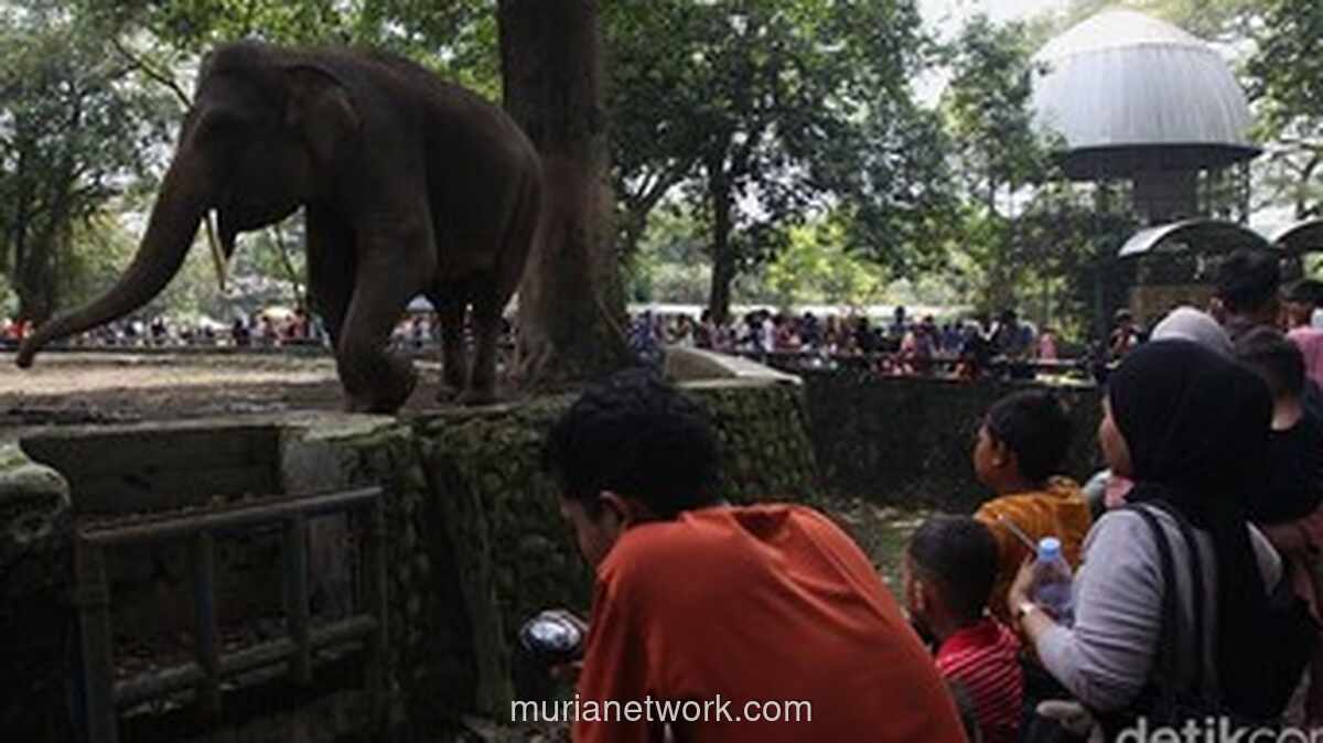 Ragunan Tutup Hari Pertama Lebaran, Targetkan 400 Ribu Pengunjung