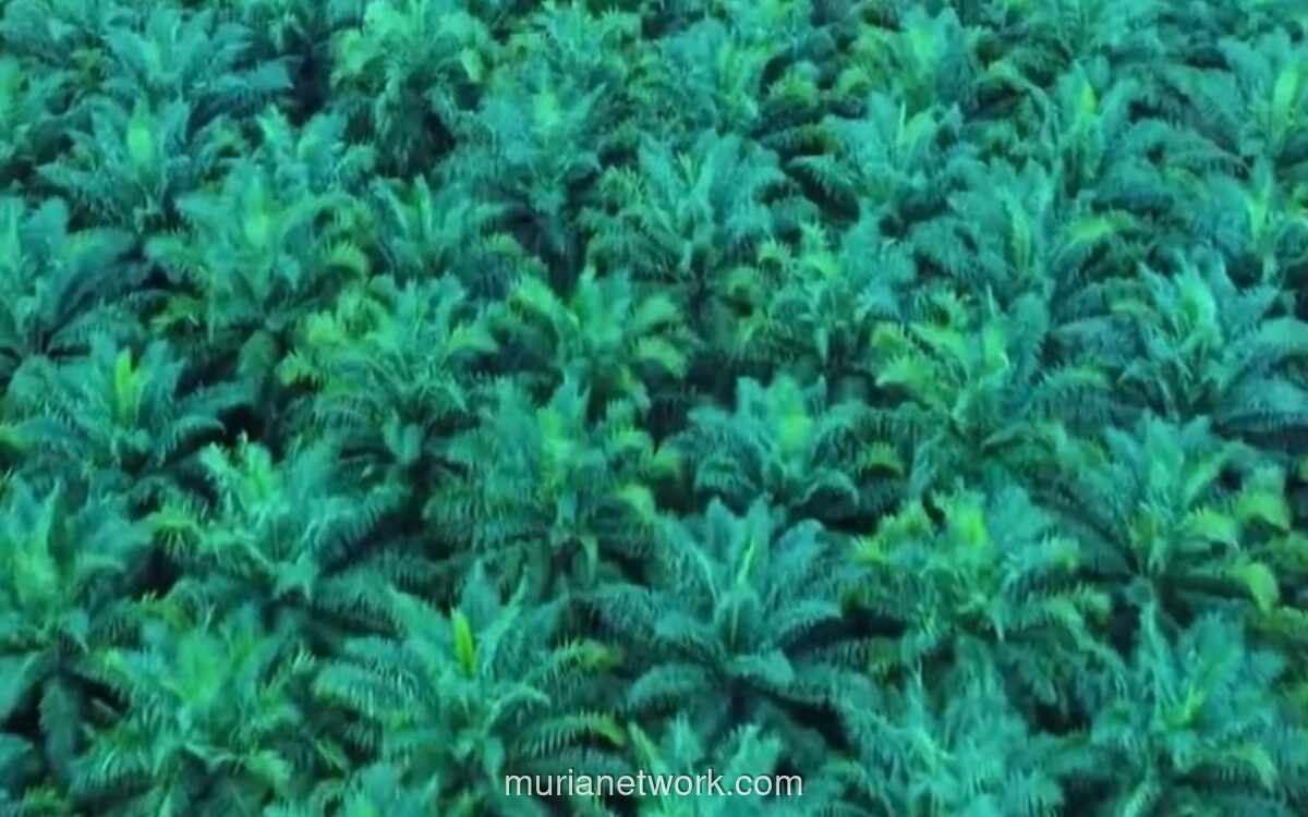 Laba Bersih Triputra Agro Persada Melonjak 19% Jadi Rp3,84 Triliun di 2025