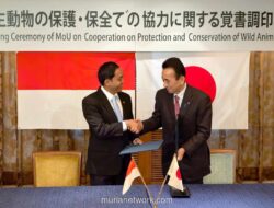 Indonesia dan Jepang Sepakati Kerja Sama Konservasi Komodo dan Diplomasi Hijau