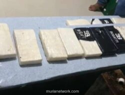 25 Kilogram Kokain Diamankan di Pesisir Selayar, Diduga Bagian Jaringan Internasional