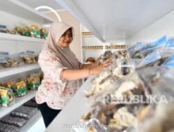 Teras Balongan Jadi Pusat Oleh-Oleh Khas Pesisir untuk Pemudik Indramayu