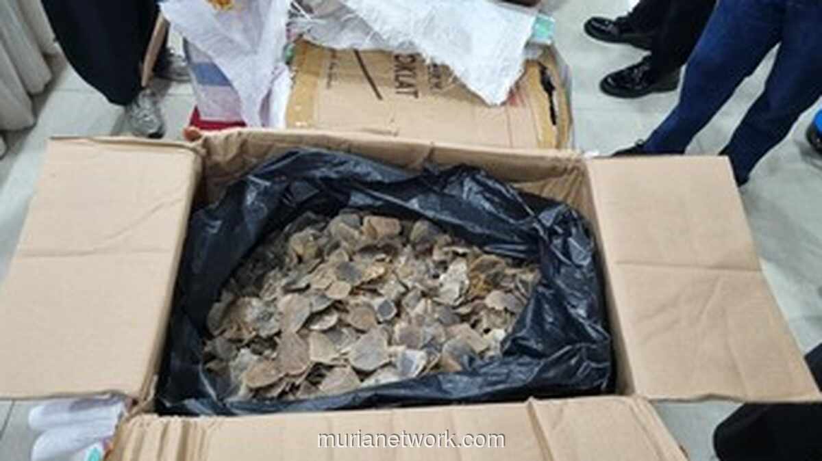 Bea Cukai Gagalkan Penyelundupan Sisik Trenggiling Senilai Rp183 Miliar di Tanjung Priok