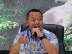 Kematian Anak Gajah Tesso Nilo Ungkap Perambahan dan Jerat Ilegal di Kawasan Konservasi