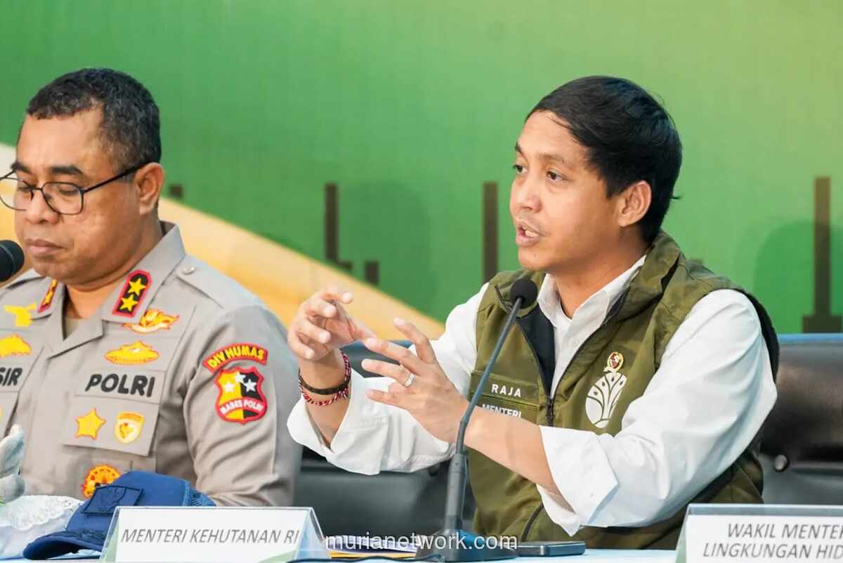 Menteri Kehutanan Murka, 15 Tersangka Kasus Gajah Sumatera Dimutilasi di Riau