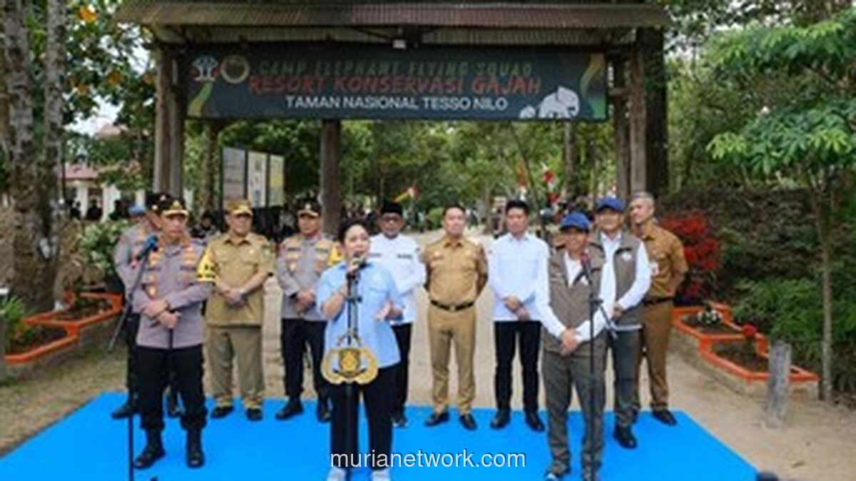 Titiek Soeharto Desak Pemulihan Tesso Nilo sebagai Habitat Gajah, Soroti Relokasi yang Manusiawi