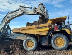 Saham Energi Grup Boy Thohir Menguat, Didorong Harga Batu Bara dan Proyek Smelter