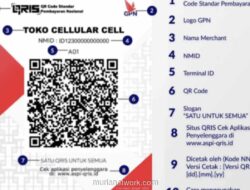 BI Resmikan QRIS untuk Turis Jepang, China dan Korea Selatan Menyusul