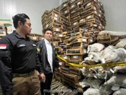 Bareskrim Konfirmasi 12,9 Ton Daging Domba Impor Kedaluwarsa Tak Layak Konsumsi