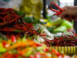 Harga Cabai dan Daging Turun Signifikan di Awal Pekan