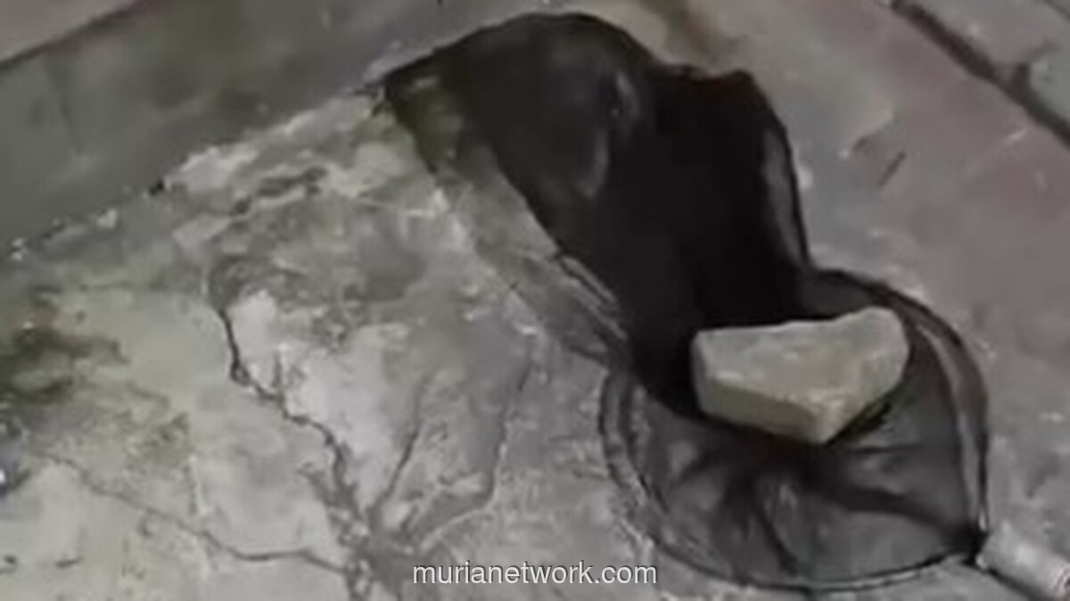 Warga Tangerang Laporkan Penganiayaan ke Polisi Usai Kucing Peliharaan Dijaring dan Diancam Dibuang ke Penangkaran Buaya