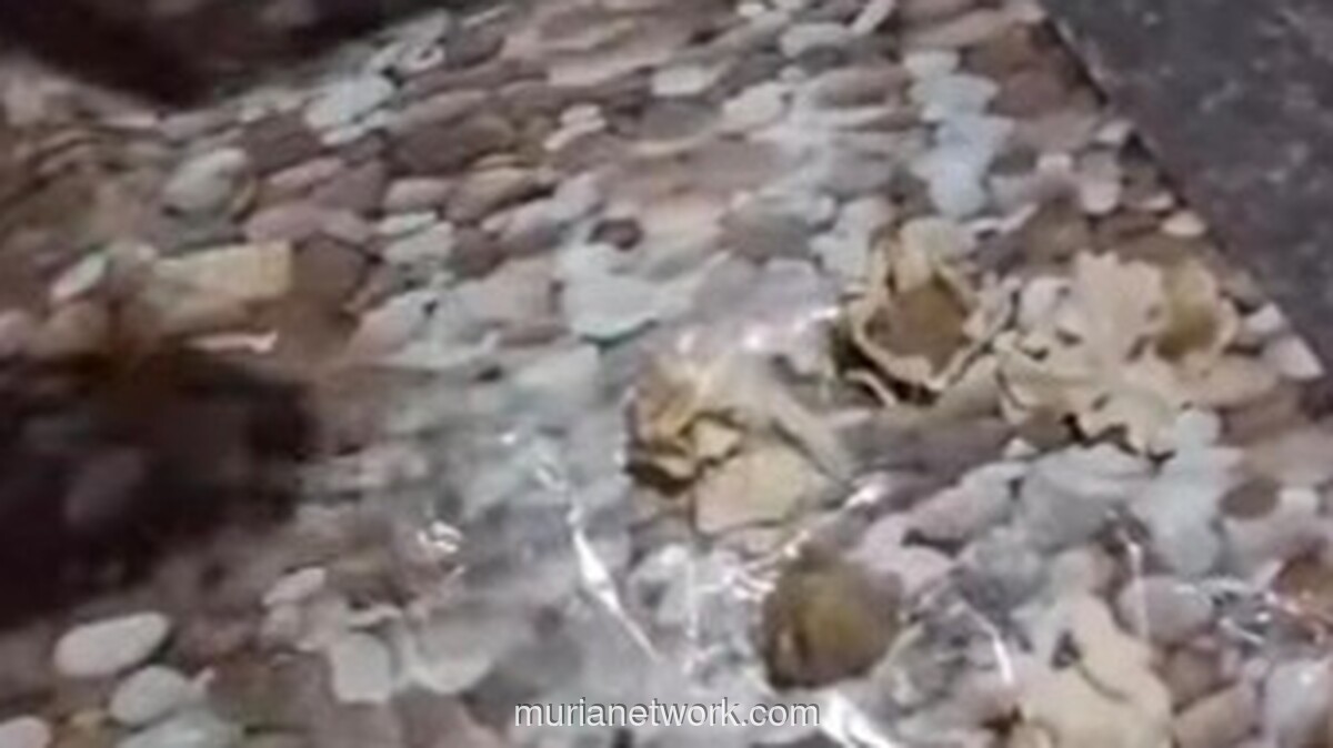 Siomay Program Makan Bergizi Gratis di Nganjuk Viral karena Keras Seperti Batu