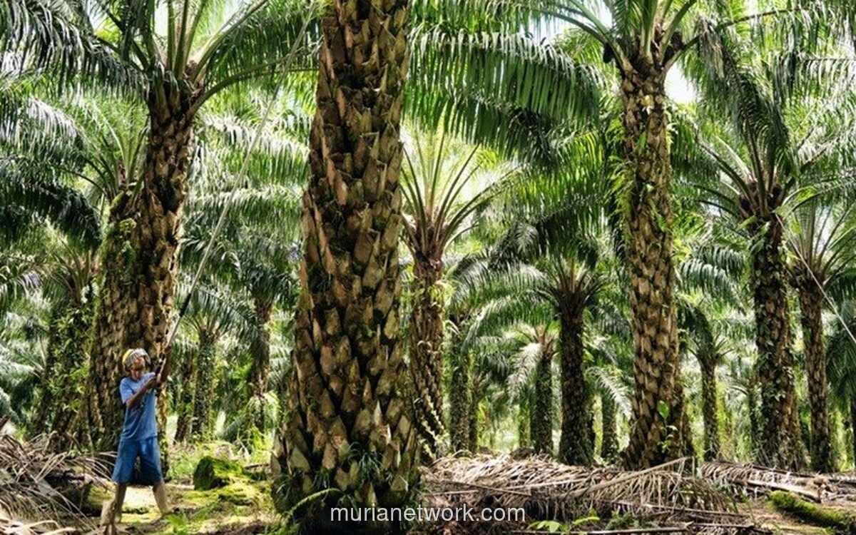 Ekspor Minyak Sawit Indonesia 2025: Volume Naik 9,5%, Nilai Melonjak 29,2%